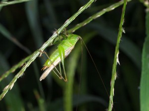 P8195719
