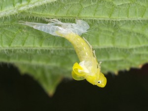 P8205814