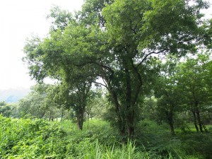 P8205902