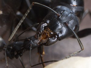 IMG_4893