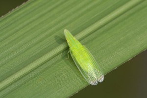 IMG_5011