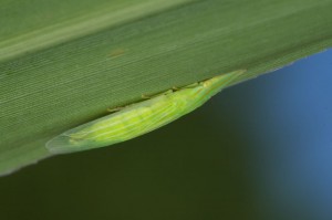 IMG_5029