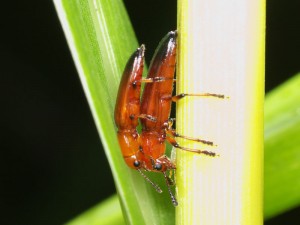 P9016967