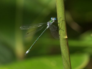 P9057248