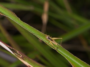 PA039582