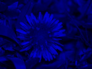 PA070425_B