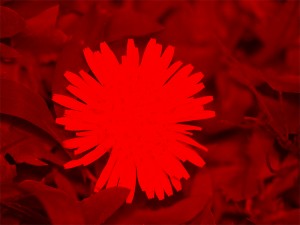 PA070425_R
