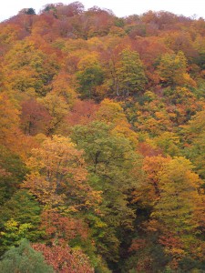 R0022862