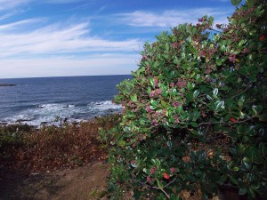 R0022877