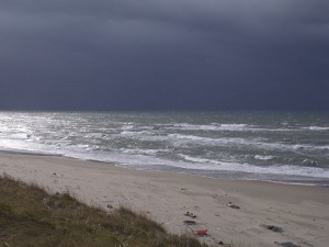 R0028317