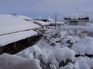 R0028516