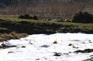 IMG_1000