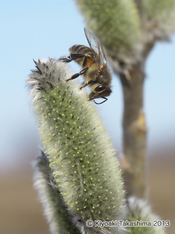 P3170750