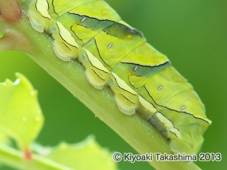 P6055923