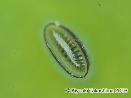 P6107470