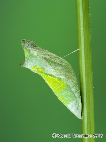 P6211304