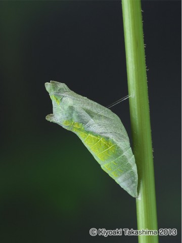 P6232043