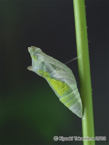 P6232282