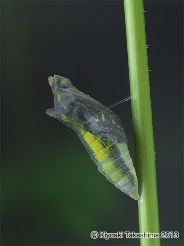 P6232283