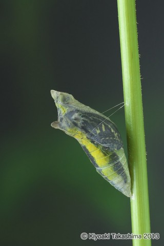 P6242339