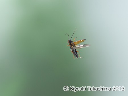 P7302898