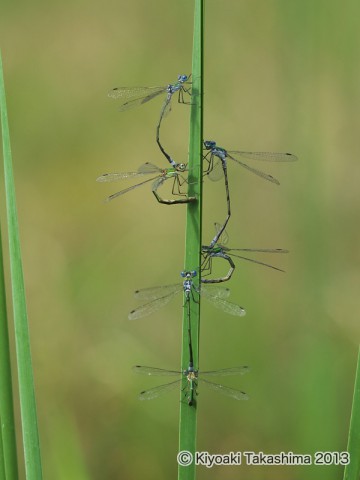 P9090252