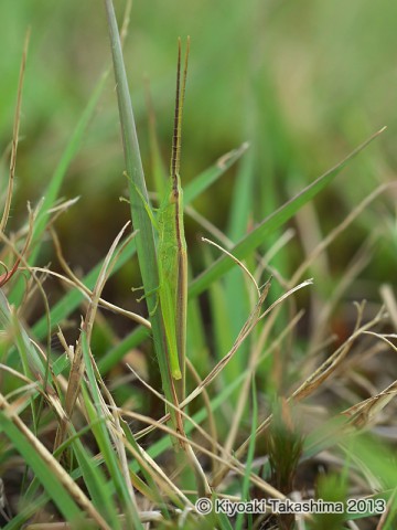 P9260036