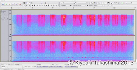 192kbps