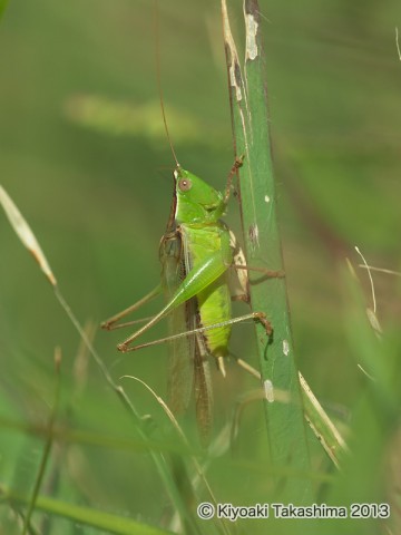 PA070450