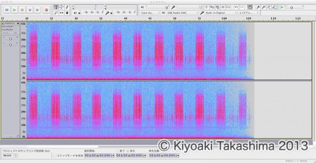 ホシササキリspec