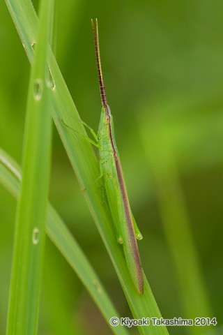 IMG_9387
