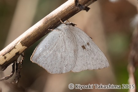 1C1A5862