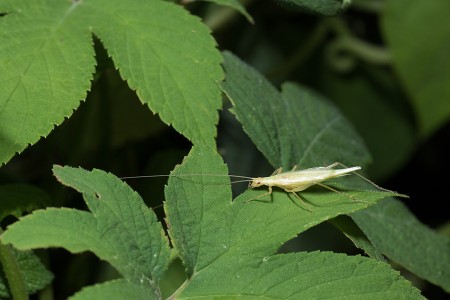 1C1A8393