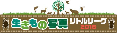 logo2016