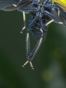 PC074533*