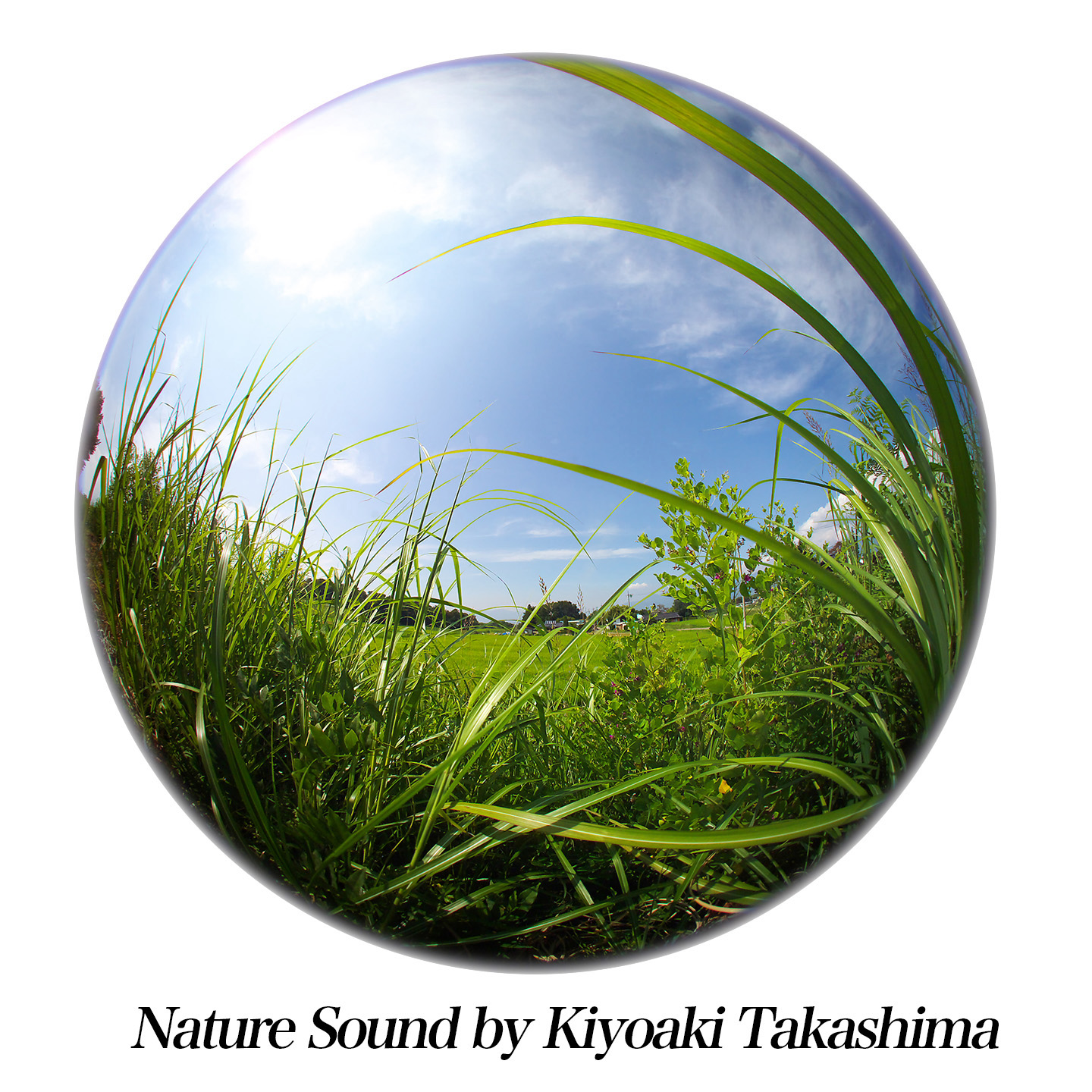 我が家の冬の音風景 我が家の冬の音風景