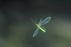 1_PA205503
