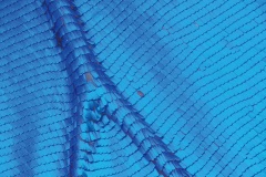 6271afbde4d080a4f6cf9b0c8d0847dd