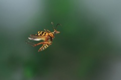 P7302872