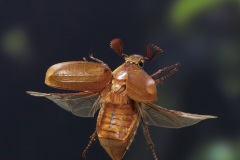 P8054377